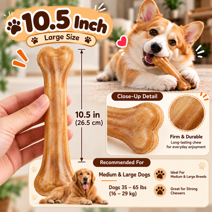 Chew bones made from natural buffalo hide for dogs – A durable chew product that helps protect dental health