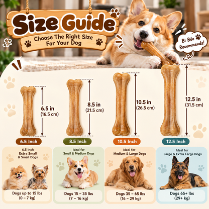 Chew bones made from natural buffalo hide for dogs – A durable chew product that helps protect dental health